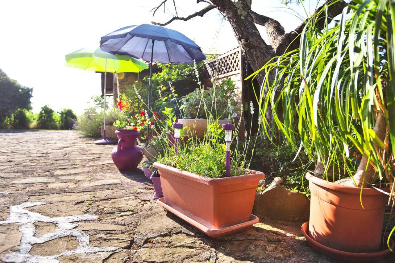 Cozy Istrian House Pensionat Izola Eksteriør billede